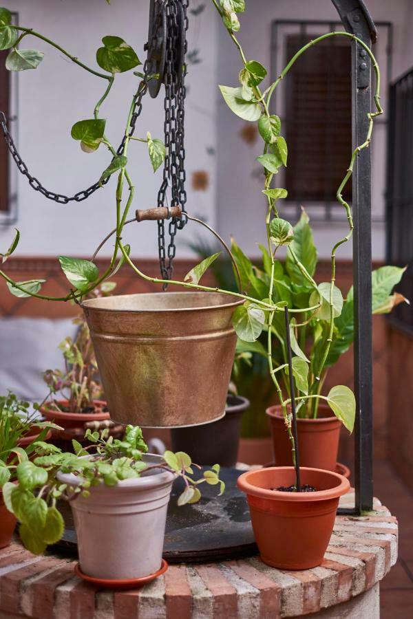 Toledorooms Estrella Con Azotea En El Casco Ngoại thất bức ảnh